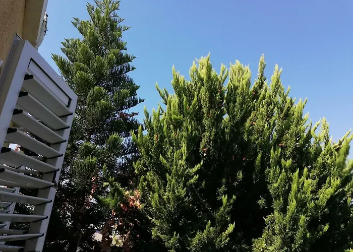 アパート Chriselina Gottage