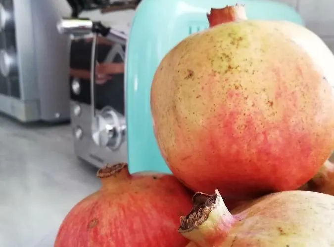 Chriselina Gottage Lejlighed